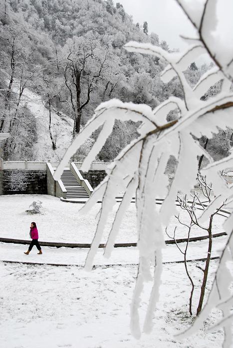 517摄友——冰天雪地走新龙（众人持续上图中）