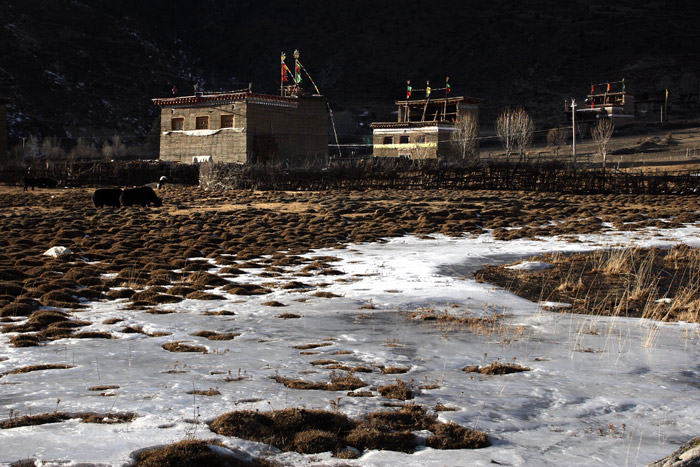 517摄友——冰天雪地走新龙（众人持续上图中）