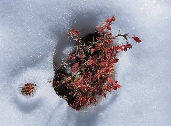 345联盟——冰天雪地走新龙（搞笑花絮60-64页）