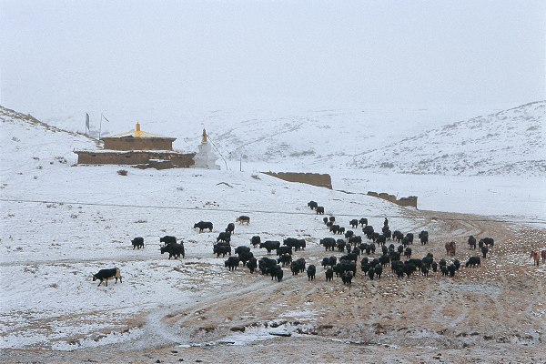 345联盟——冰天雪地走新龙（搞笑花絮60-64页）