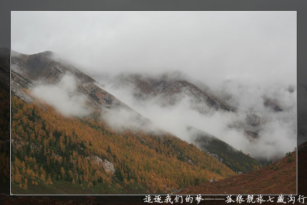 追逐我们的梦——孤狼靓旅七藏沟行