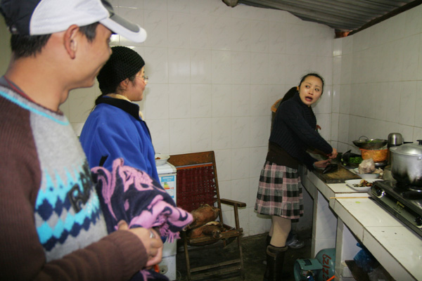 当鸡遇上了牛(彩云之南)