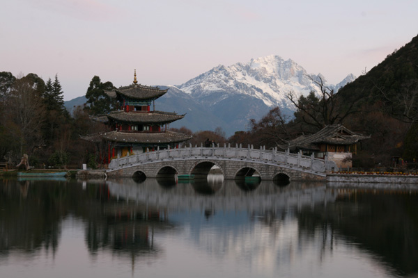 当鸡遇上了牛(彩云之南)