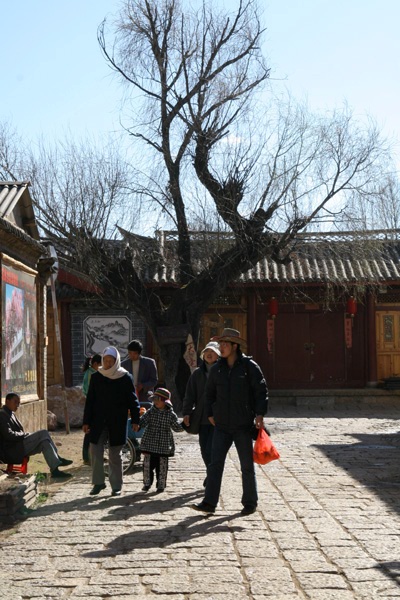 当鸡遇上了牛(彩云之南)