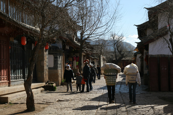 当鸡遇上了牛(彩云之南)