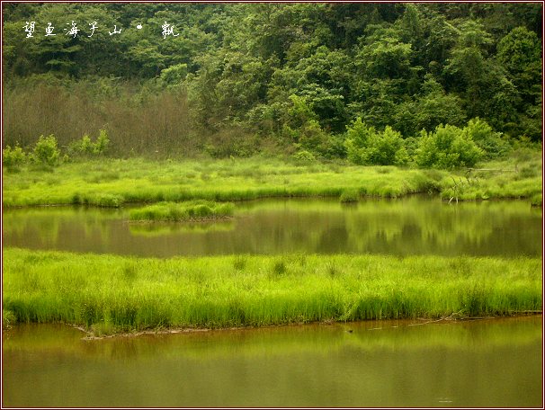 [原创]芳草连天好时光--雅安望鱼石海子山