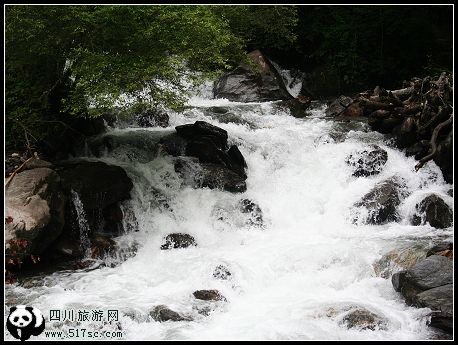 【孤狼靓旅】进军“阿尔沟”平安归来！！！---纯天然风景PP不断更新中。。